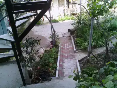 Ясень - 2