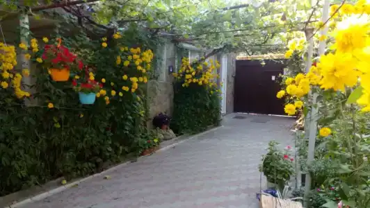 Ясень - 6