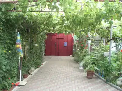Ясень - 15
