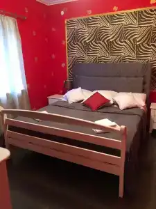 Сак - 1