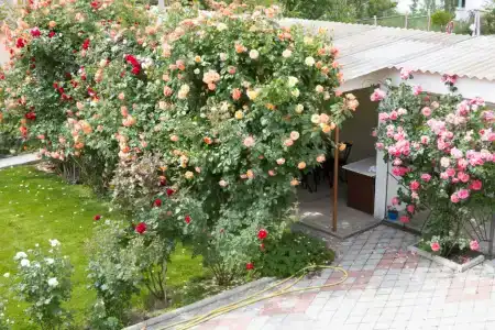 Гостевой дом у Светланы - 2