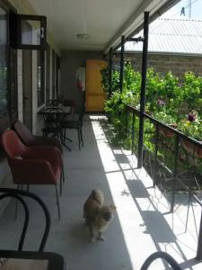 Гостевой дом у Светланы - 9