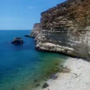 Инжир - 1
