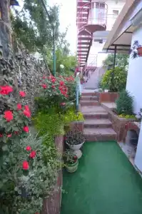 Парусник - 4