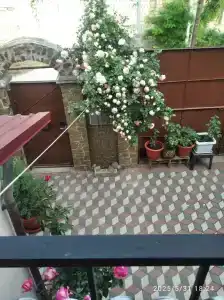 Оазис на Дачном - 3