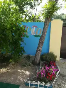 Лето - 3