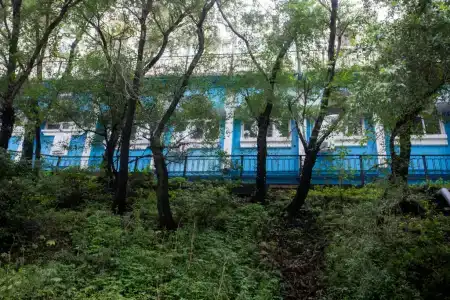 Tiger Hostel - 9