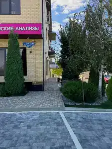 Моцарт - 5