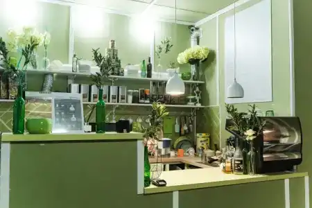 Олива - 6