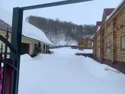 Терем - 15
