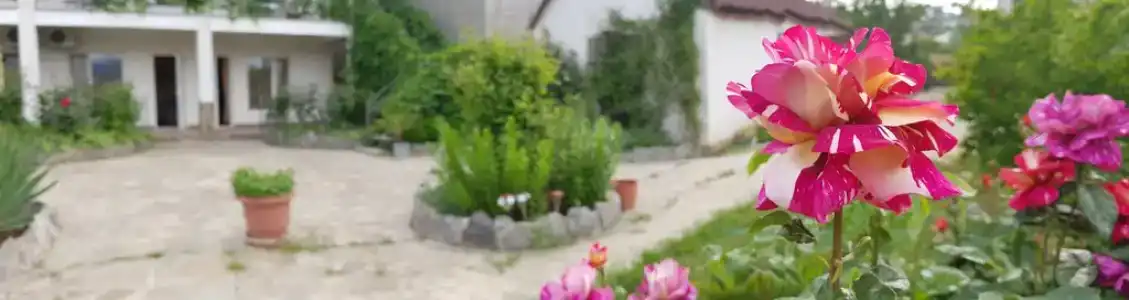 Афина - 13