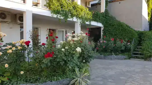 Афина - 1
