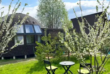 Рай в шалаше - 247