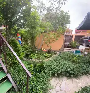 Вишневских - 11
