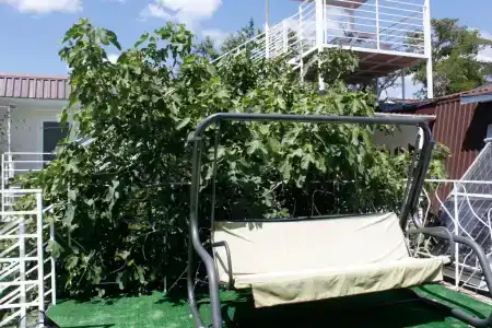 Вишневских - 3