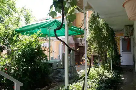 Вишневских - 25