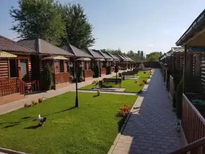 Алмаз - 9