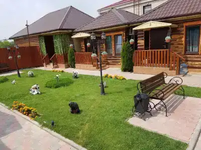 Алмаз - 10