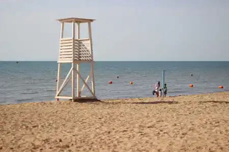 Магас - 6