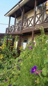 Лукоморье - 88