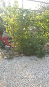 Лукоморье - 86