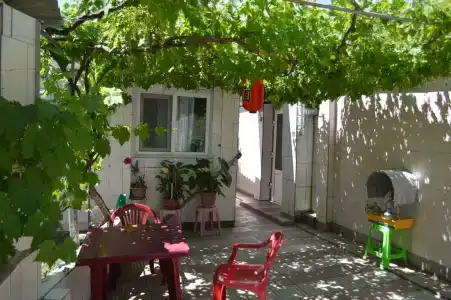 Отдых в Береговом - 0
