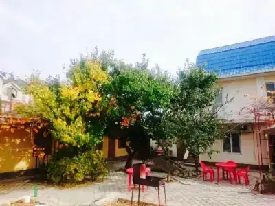 Беседка - 7