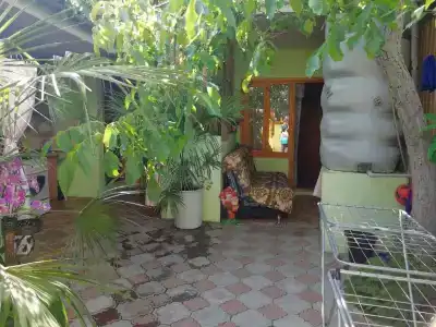 Дачный - 2