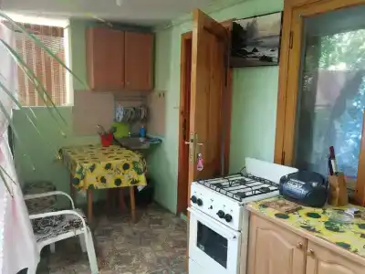 Дачный - 1