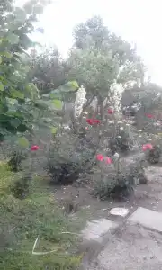Гостевой дом на Мира 60 - 10