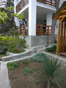 Фисташка - 30