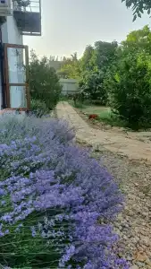 Крымский дворик - 6