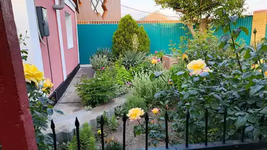 Зерновский - 2
