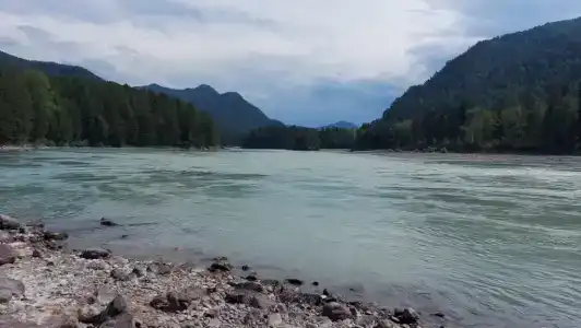 База отдыха у Катуни - 17