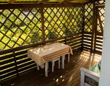 Боровики - 12