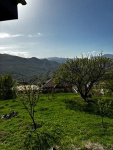 Уютный дом - 20