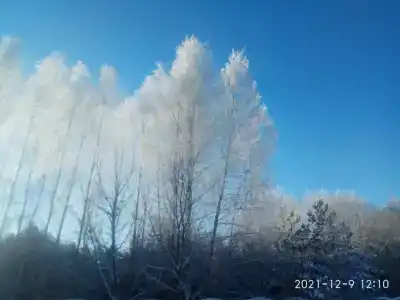 Дом в Опухликах - 66