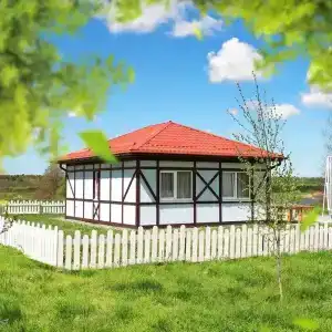 Деревня Григорьевка - 100