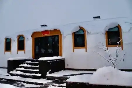 Хэйлун - 169