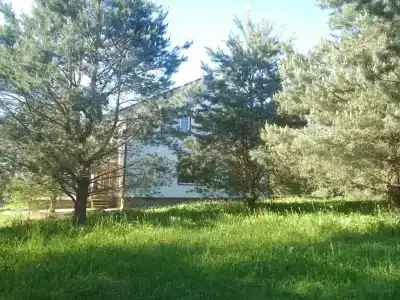 Хитрый Лис - 98