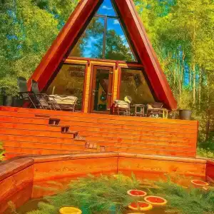 Медвежий угол - 1