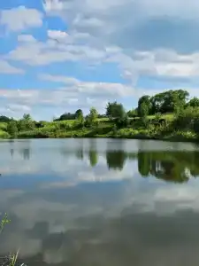 Антоновские яблоки - 28