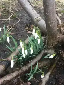 Дизайнерский домик - 21