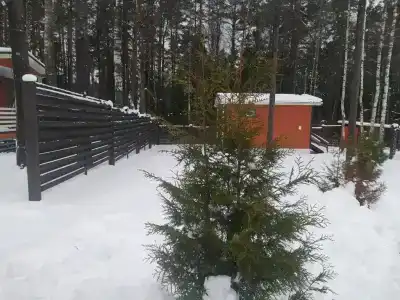 ЕдунеЕду - 4
