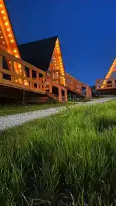 Аквариум - 51