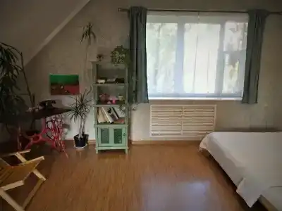 Дом с орехом во дворе - 21