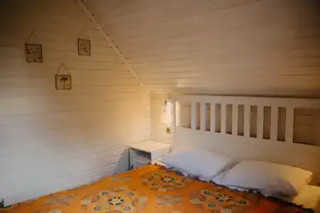 Синяя птица - 3