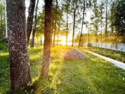 Родная Усадьба - 164