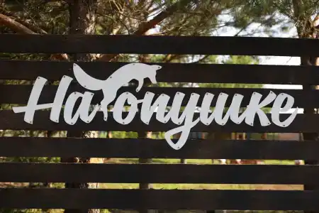 На опушке - 19