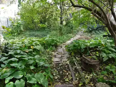 Дом с орехом во дворе - 26